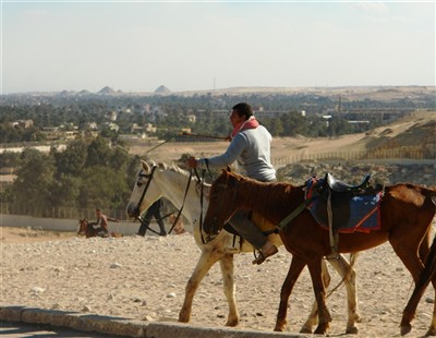 Hästtransport vid pyramiderna